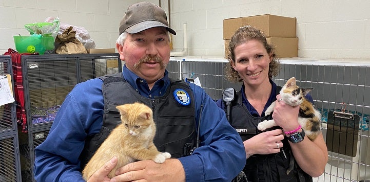 Two animal control officers holding kittens