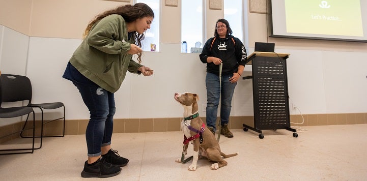 Woman in green jacket holding treat while brown dog sits and another person observes