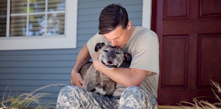 Male veteran sitting porch hugging gray pit bull type dog looking camera