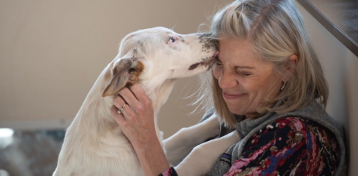 Light colored dog licking the face of a woman