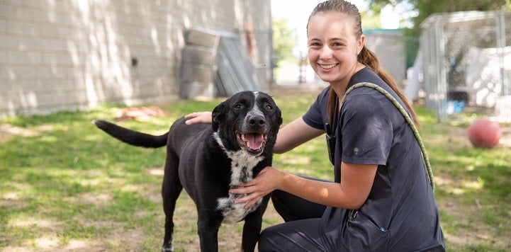 Volunteer with black and white dog