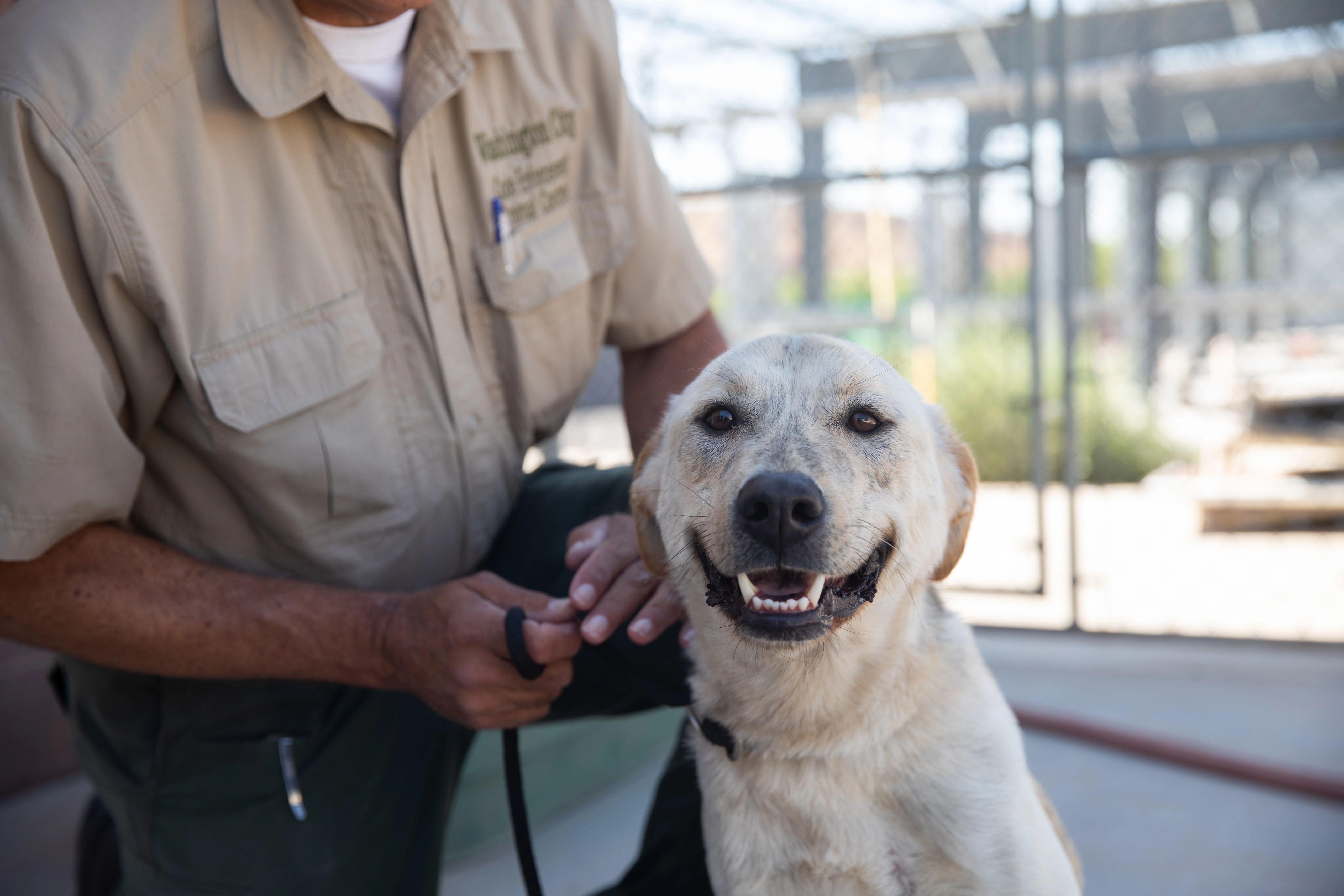 man holding sitting dog on a leash