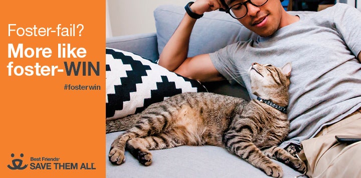 A tabby cat and a man wearing glasses look at each other while lounging on a couch. An orange box on the left says "Foster fail? More like foster-WIN. #fosterwin."