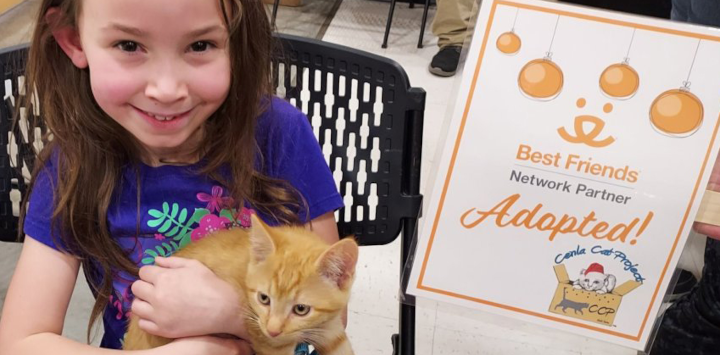 a young girl holding her newly adopted orange kitten