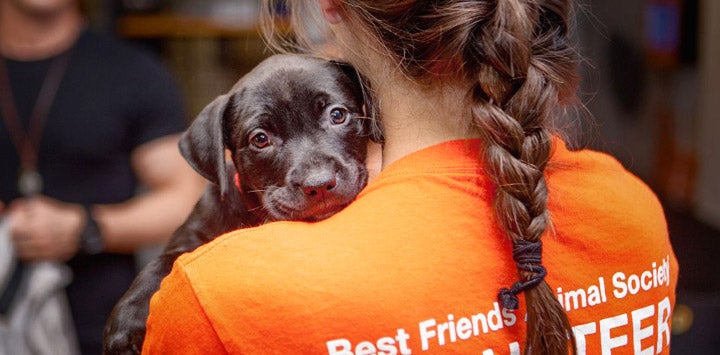 Female in orange shirt with braid holding black puppy looking over her shoulder