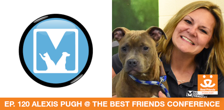 Alexis Pugh - Memphis Animal Services