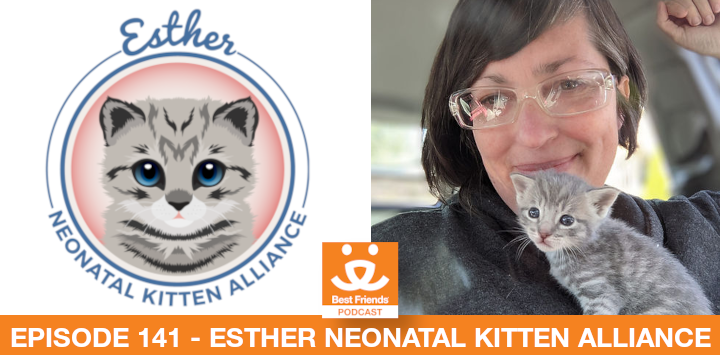 esther neonatal kitten alliance logo and andee bingham, the executive director