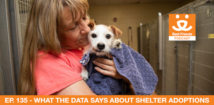 lady holds a puppy in an animal shelter
