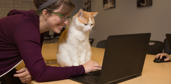 Woman and a cat looking at a computer