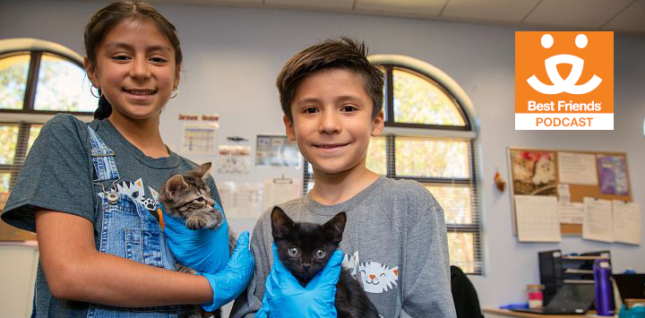 two kids care for kittens in an animal shelter