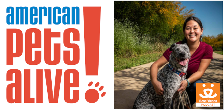 Best Friends Podcast guest Clare Callison from American Pets Alive!