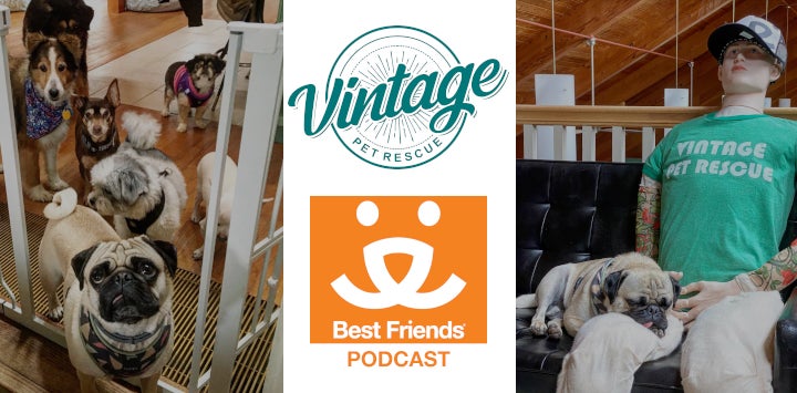 Vintage Pet Rescue - Best Friends Podcast