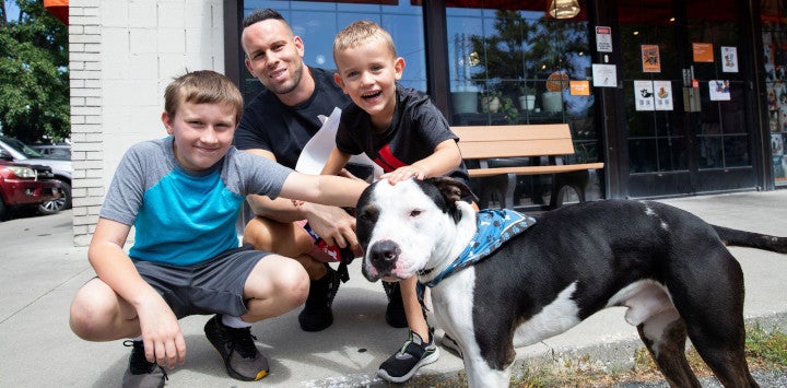 family with a new black and white adopted dog
