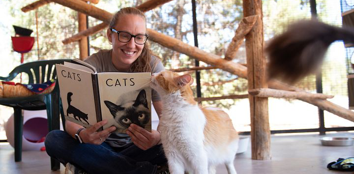 caregiver reads book to a cat