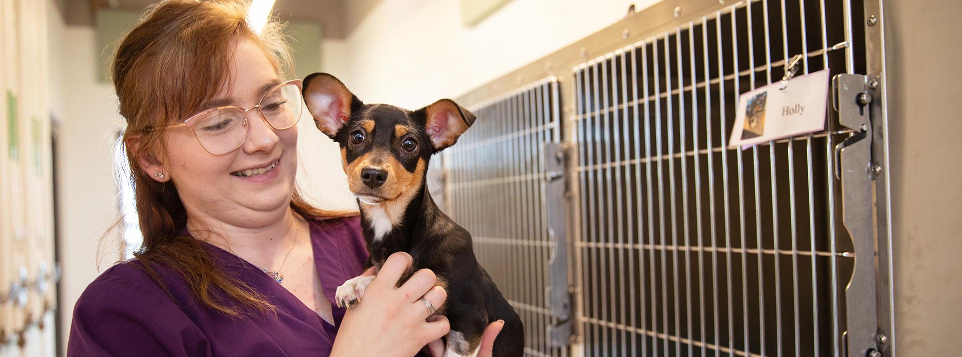 A Day in the Life of an Animal Shelter Volunteer